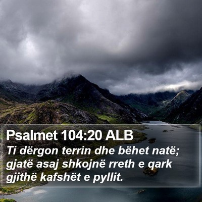 Psalmet 104:20 ALB Bible Verse Image