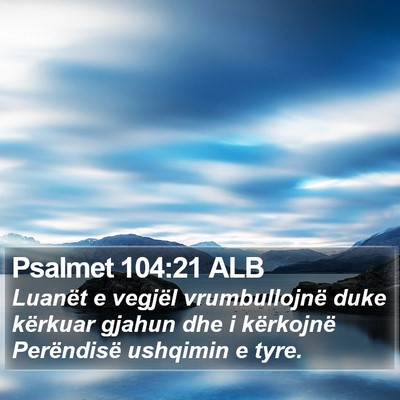 Psalmet 104:21 ALB Bible Verse Image