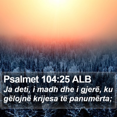 Psalmet 104:25 ALB Bible Verse Image
