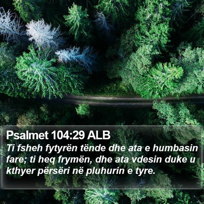 Psalmet 104:29 ALB Bible Verse Image