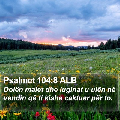 Psalmet 104:8 ALB Bible Verse Image