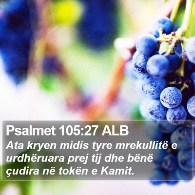 Psalmet 105:27 ALB Bible Verse Image