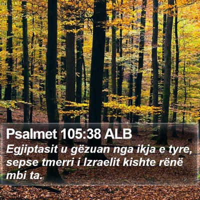 Psalmet 105:38 ALB Bible Verse Image