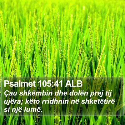 Psalmet 105:41 ALB Bible Verse Image