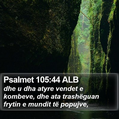 Psalmet 105:44 ALB Bible Verse Image