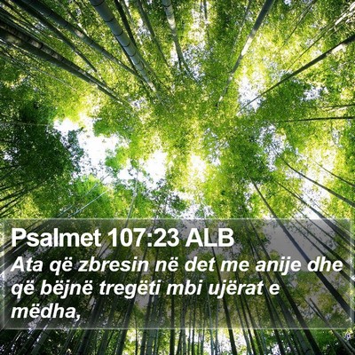 Psalmet 107:23 ALB Bible Verse Image