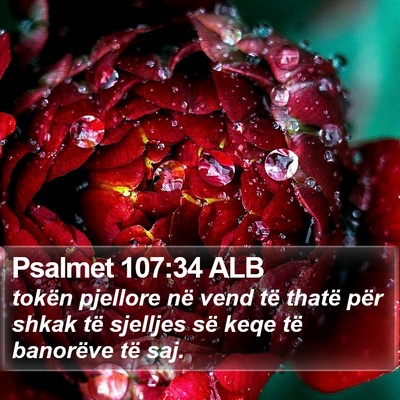 Psalmet 107:34 ALB Bible Verse Image