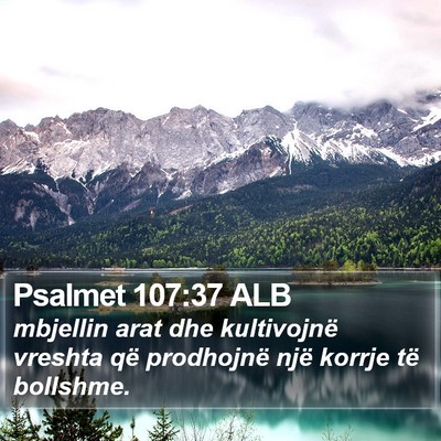 Psalmet 107:37 ALB Bible Verse Image