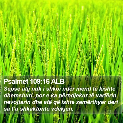 Psalmet 109:16 ALB Bible Verse Image
