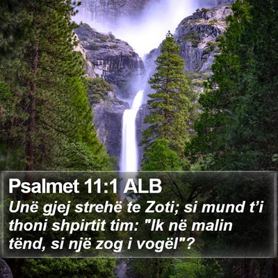 Psalmet 11:1 ALB Bible Verse Image