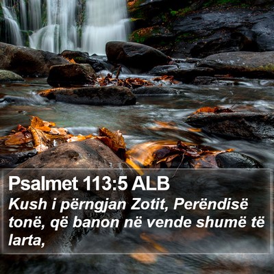Psalmet 113:5 ALB Bible Verse Image