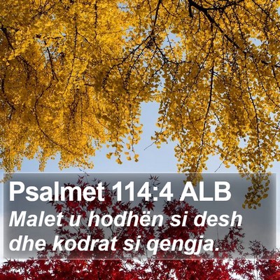 Psalmet 114:4 ALB Bible Verse Image