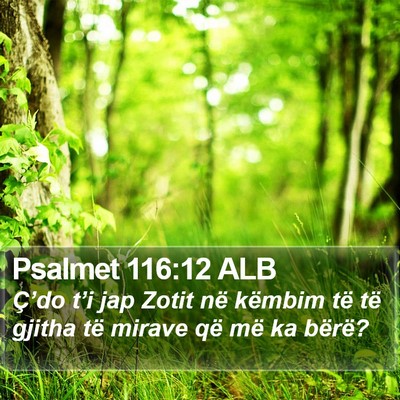 Psalmet 116:12 ALB Bible Verse Image