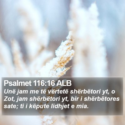 Psalmet 116:16 ALB Bible Verse Image