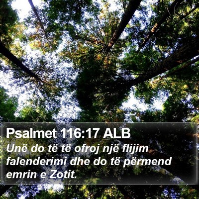 Psalmet 116:17 ALB Bible Verse Image