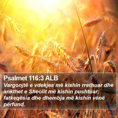 Psalmet 116:3 ALB Bible Verse Image