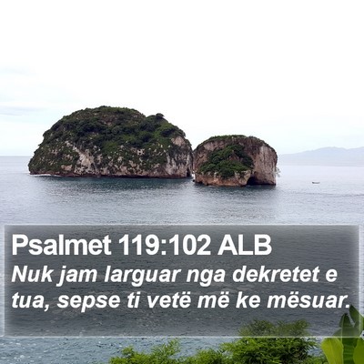Psalmet 119:102 ALB Bible Verse Image