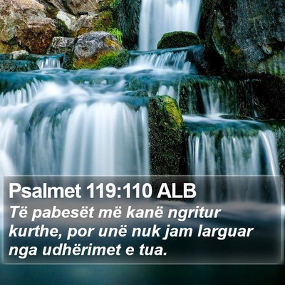 Psalmet 119:110 ALB Bible Verse Image