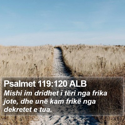 Psalmet 119:120 ALB Bible Verse Image