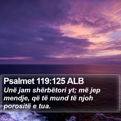 Psalmet 119:125 ALB Bible Verse Image