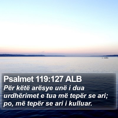 Psalmet 119:127 ALB Bible Verse Image