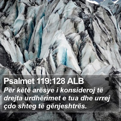 Psalmet 119:128 ALB Bible Verse Image