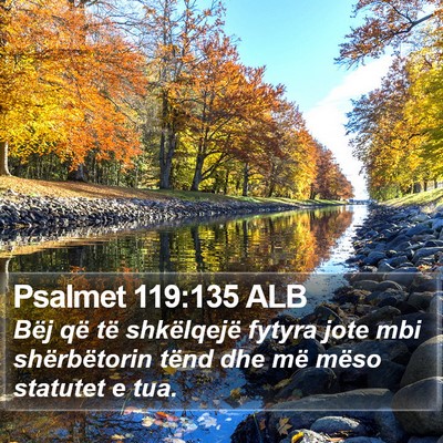 Psalmet 119:135 ALB Bible Verse Image