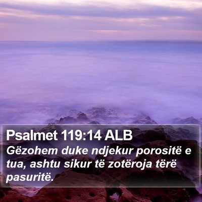 Psalmet 119:14 ALB Bible Verse Image