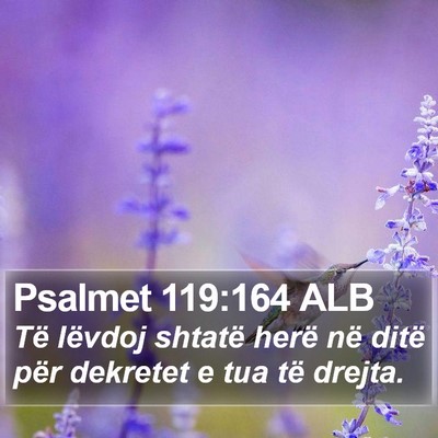 Psalmet 119:164 ALB Bible Verse Image