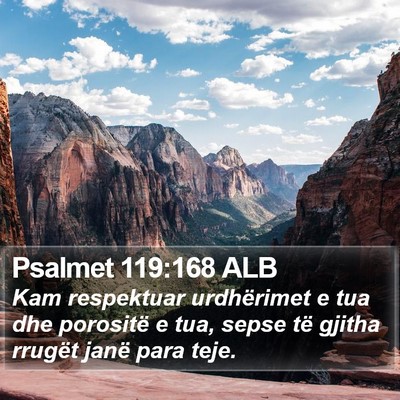 Psalmet 119:168 ALB Bible Verse Image