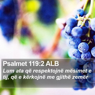 Psalmet 119:2 ALB Bible Verse Image