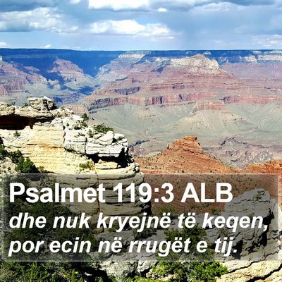 Psalmet 119:3 ALB Bible Verse Image