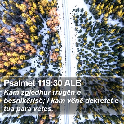 Psalmet 119:30 ALB Bible Verse Image