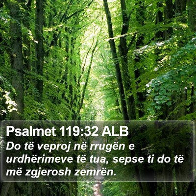 Psalmet 119:32 ALB Bible Verse Image