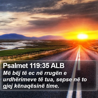 Psalmet 119:35 ALB Bible Verse Image