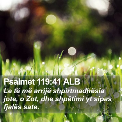 Psalmet 119:41 ALB Bible Verse Image