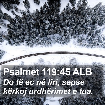 Psalmet 119:45 ALB Bible Verse Image