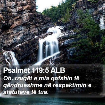 Psalmet 119:5 ALB Bible Verse Image