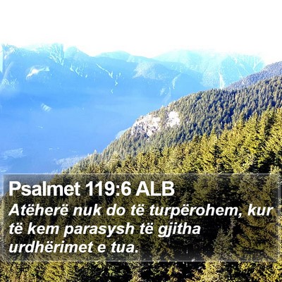Psalmet 119:6 ALB Bible Verse Image