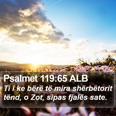 Psalmet 119:65 ALB Bible Verse Image