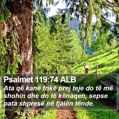 Psalmet 119:74 ALB Bible Verse Image