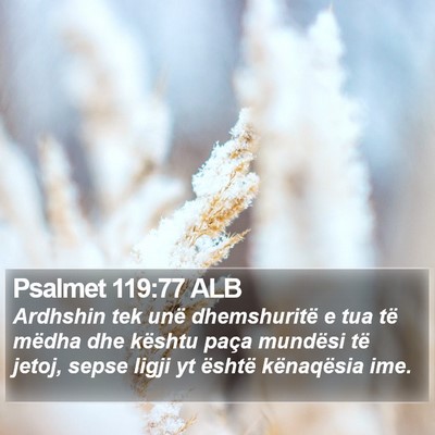 Psalmet 119:77 ALB Bible Verse Image