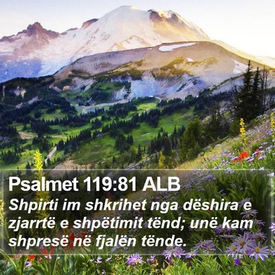 Psalmet 119:81 ALB Bible Verse Image