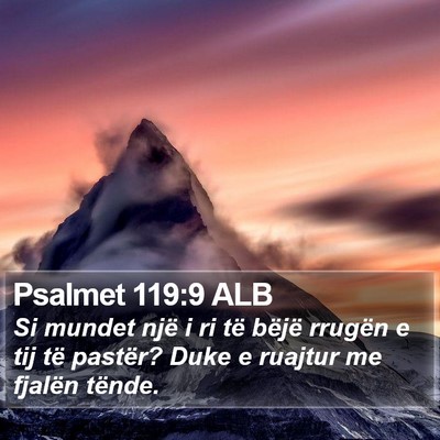 Psalmet 119:9 ALB Bible Verse Image