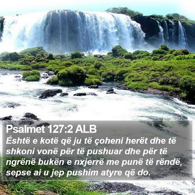 Psalmet 127:2 ALB Bible Verse Image