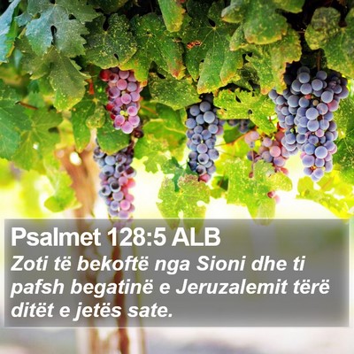 Psalmet 128:5 ALB Bible Verse Image