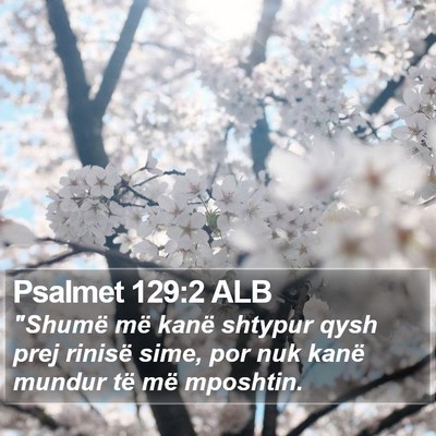 Psalmet 129:2 ALB Bible Verse Image