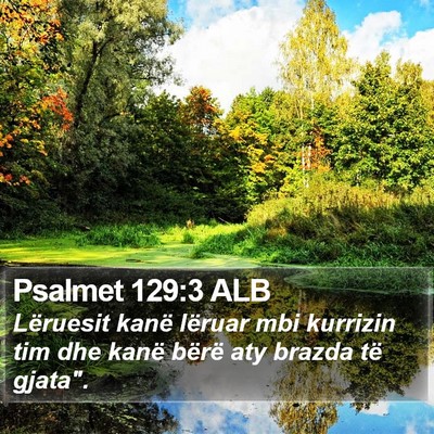 Psalmet 129:3 ALB Bible Verse Image