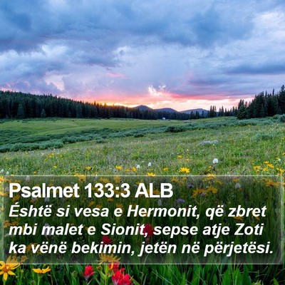 Psalmet 133:3 ALB Bible Verse Image