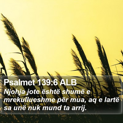 Psalmet 139:6 ALB Bible Verse Image